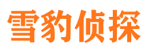 卧龙市调查公司